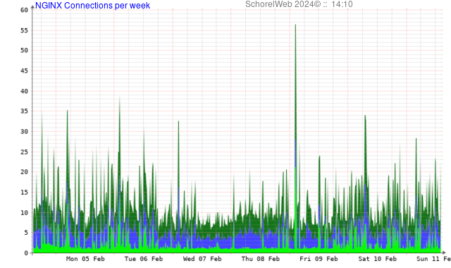 NGINX Webserver Connecties