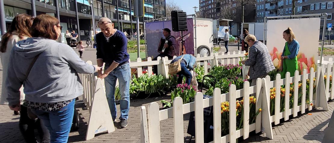 Lente in de Bieshof