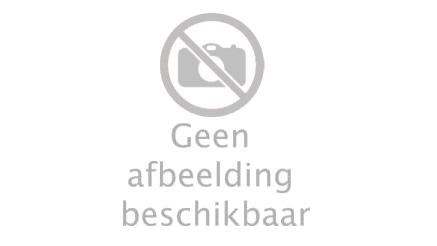 Foto's tijdens activiteiten op basisschool
