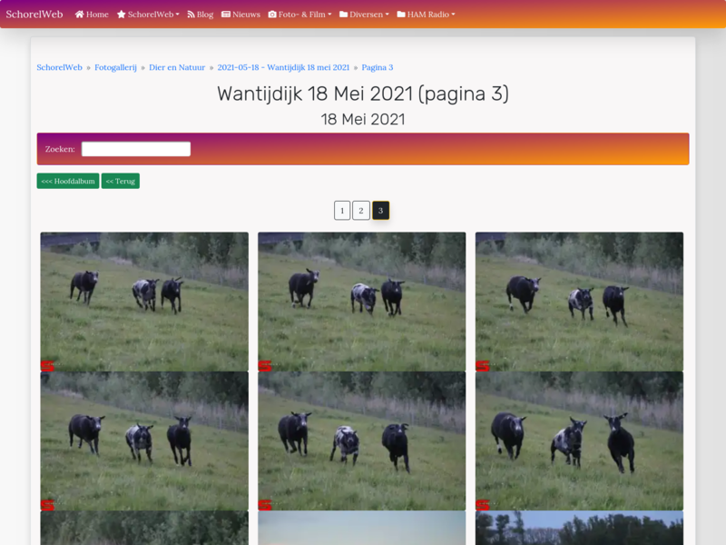 Wantijdijk 18 mei 2021 (pagina 3)