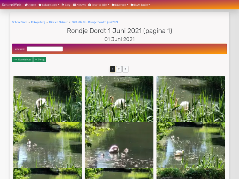 Rondje Dordt 1 juni 2021 (pagina 1)