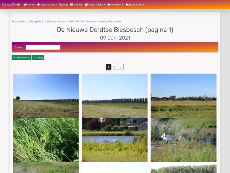 De nieuwe Dordtse Biesbosch (pagina 1)