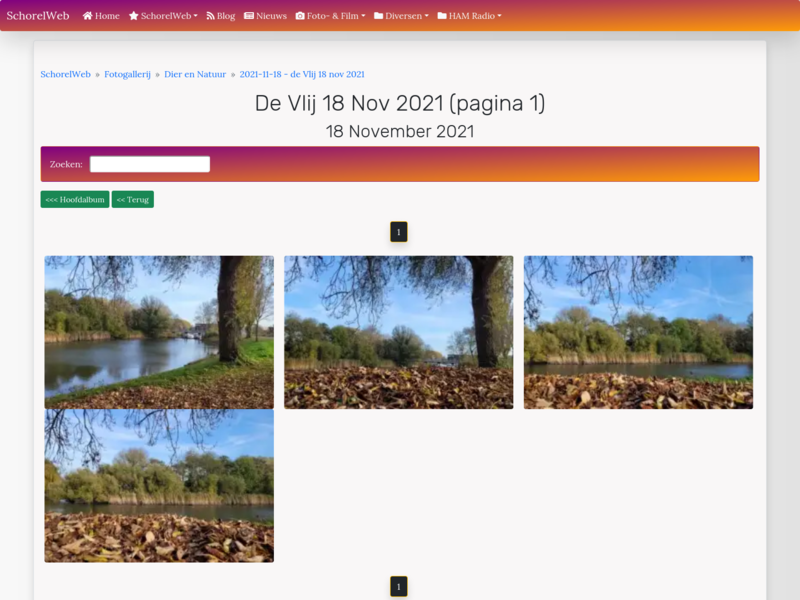 de Vlij 18 nov 2021 (pagina 1)
