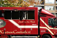 [Activiteiten en Festiviteiten] :: Intocht Sinterklaas Dordrecht (7)