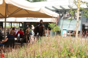 [Activiteiten en Festiviteiten] :: Levende Standbeelden Bieshof (8)