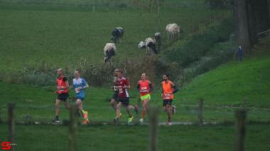[Activiteiten en Festiviteiten] :: Drechtstadloop Halve Marathon (21)