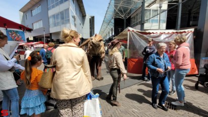 [Activiteiten en Festiviteiten] :: Pinkster Braderie Bieshof dag3 (10)