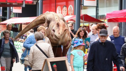 [Activiteiten en Festiviteiten] :: Pinkster Braderie Bieshof dag3 (15)