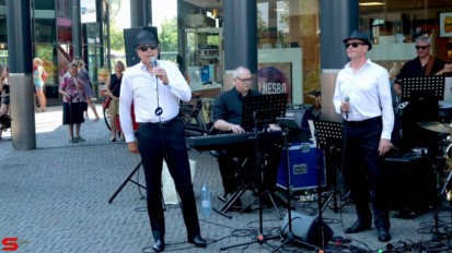 [Activiteiten en Festiviteiten] :: Muzikale dag in de bieshof (13)