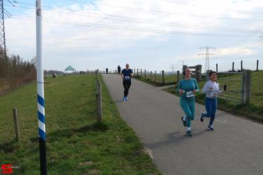 [Activiteiten en Festiviteiten] :: Riwal Halve Marathon 10km (28)