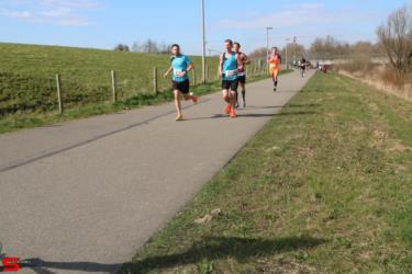 [Activiteiten en Festiviteiten] :: Riwal Halve Marathon hm (46)