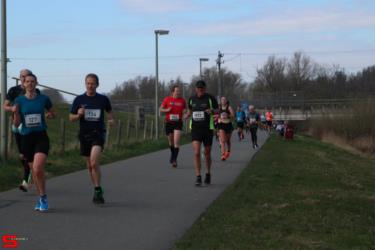 [Activiteiten en Festiviteiten] :: Riwal Halve Marathon hm (38)