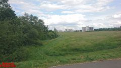 [Dier en Natuur] :: Rondje Dordt Merwelanden (13)