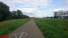 [Dier en Natuur] :: Rondje Dordt Merwelanden (15)
