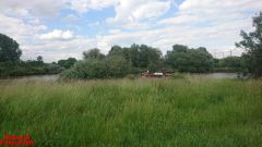 [Dier en Natuur] :: Rondje Dordt Merwelanden (18)