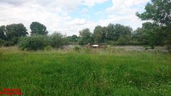[Dier en Natuur] :: Rondje Dordt Merwelanden (19)