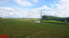 [Dier en Natuur] :: Rondje Dordt Merwelanden (22)