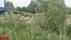 [Dier en Natuur] :: Rondje Dordt Merwelanden (11)