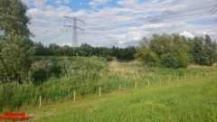 [Dier en Natuur] :: Rondje Dordt Merwelanden (12)