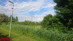[Dier en Natuur] :: Rondje Dordt Merwelanden (14)