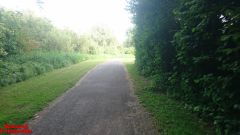 [Dier en Natuur] :: Rondje Dordt Merwelanden (12)