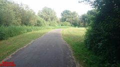 [Dier en Natuur] :: Rondje Dordt Merwelanden (13)