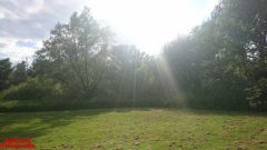 [Dier en Natuur] :: Rondje Dordt Merwelanden (16)