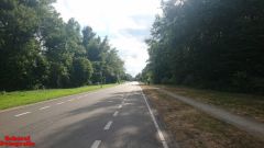 [Dier en Natuur] :: Rondje Dordt Merwelanden (12)