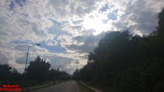 [Dier en Natuur] :: Rondje Dordt Merwelanden (14)