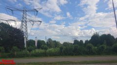 [Dier en Natuur] :: Rondje Dordt Merwelanden (15)