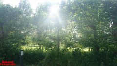 [Dier en Natuur] :: Rondje Dordt Merwelanden (17)
