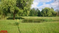 [Dier en Natuur] :: Rondje Dordt Merwelanden (11)