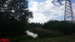 [Dier en Natuur] :: Rondje Dordt Merwelanden (22)