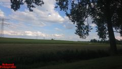 [Dier en Natuur] :: Rondje Dordt Merwelanden (8)