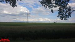 [Dier en Natuur] :: Rondje Dordt Merwelanden (9)