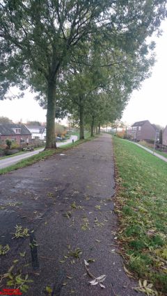 [Dier en Natuur] :: Herfst Stadspolders (6)
