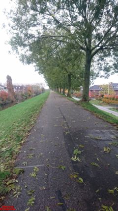 [Dier en Natuur] :: Herfst Stadspolders (7)