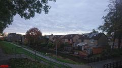 [Dier en Natuur] :: Herfst Stadspolders (9)