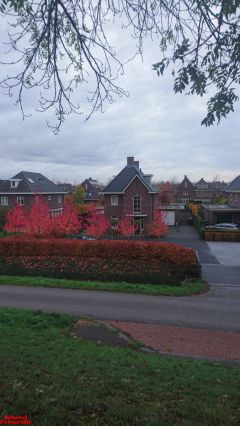 [Dier en Natuur] :: Herfst Stadspolders (11)