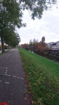 [Dier en Natuur] :: Herfst Stadspolders (14)