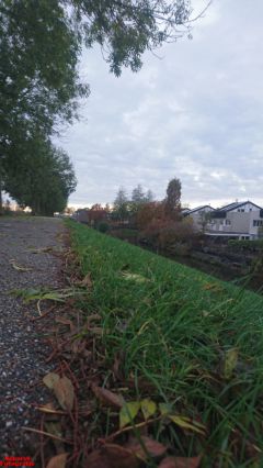 [Dier en Natuur] :: Herfst Stadspolders (15)
