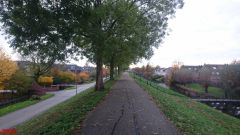 [Dier en Natuur] :: Herfst Stadspolders (18)