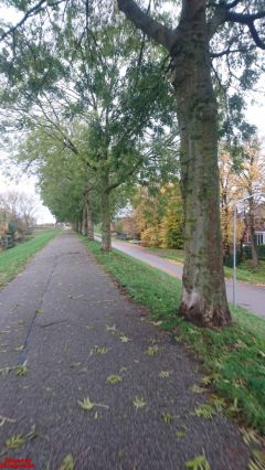 [Dier en Natuur] :: Herfst Stadspolders (5)
