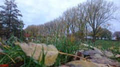 [Dier en Natuur] :: Herfst Stadspolders (7)