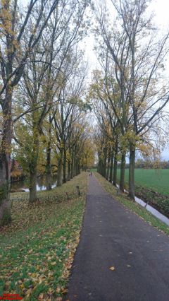 [Dier en Natuur] :: Herfst Stadspolders (11)