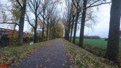 [Dier en Natuur] :: Herfst Stadspolders (12)