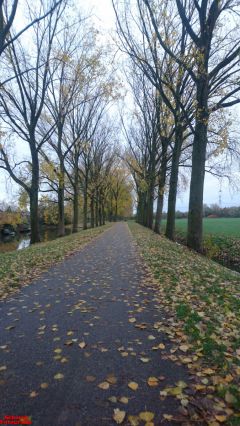 [Dier en Natuur] :: Herfst Stadspolders (13)
