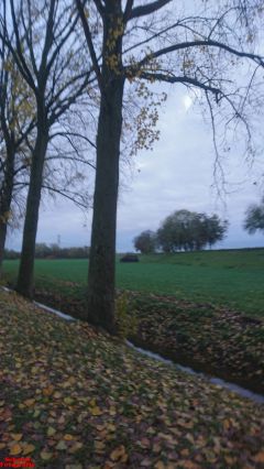 [Dier en Natuur] :: Herfst Stadspolders (14)