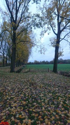 [Dier en Natuur] :: Herfst Stadspolders (15)