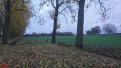 [Dier en Natuur] :: Herfst Stadspolders (16)